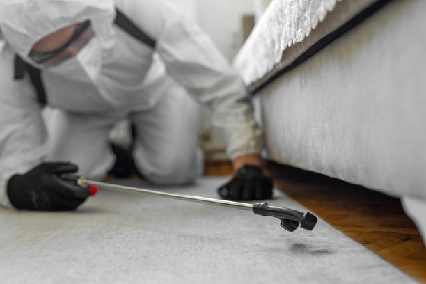 Professional Cockroach Control technician working in Lake Los Angeles, CA