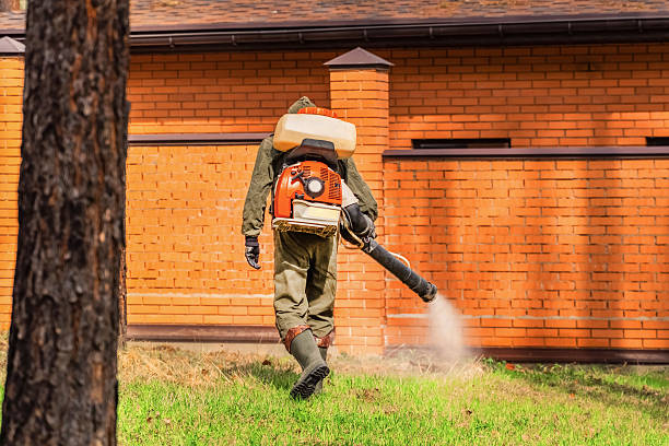 Trusted Rodent Control service in Lake Los Angeles, CA - Nex Pest Control